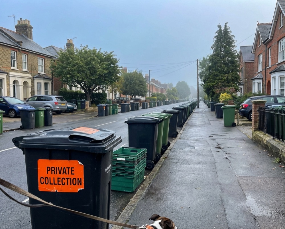 Residential street with bins in Rustington awaiting collection